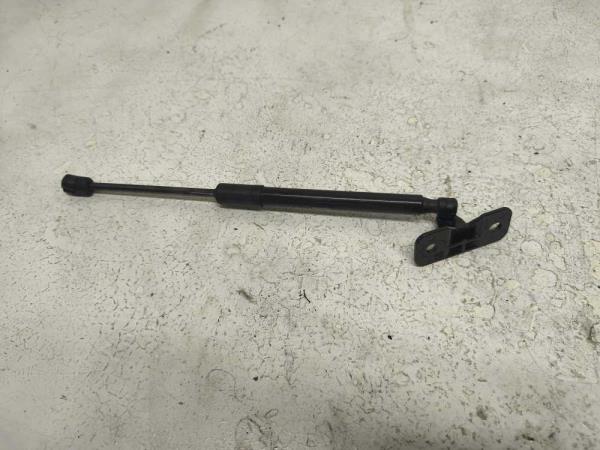 VERIN CAPOT TESLA - Vue 1